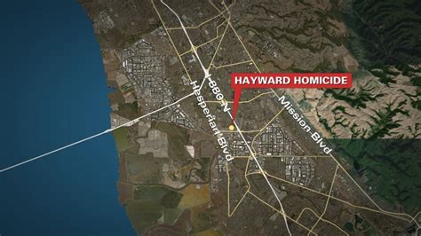 Sunday on suspicion of <b>homicide</b>. . Hayward homicide
